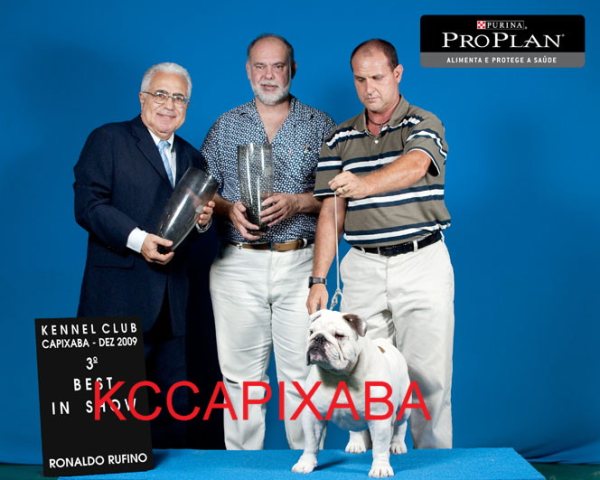 Clique sobre a foto para fechar